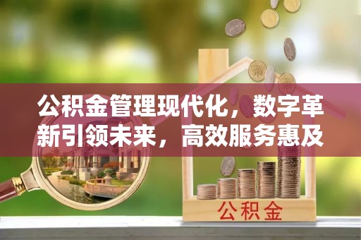郎溪公积金管理现代化，数字革新引领未来，高效服务惠及民生
