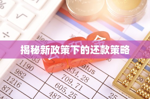郎溪揭秘新政策下的还款策略