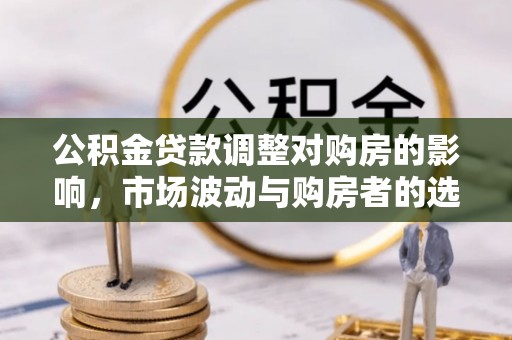 郎溪公积金贷款调整对购房的影响，市场波动与购房者的选择
