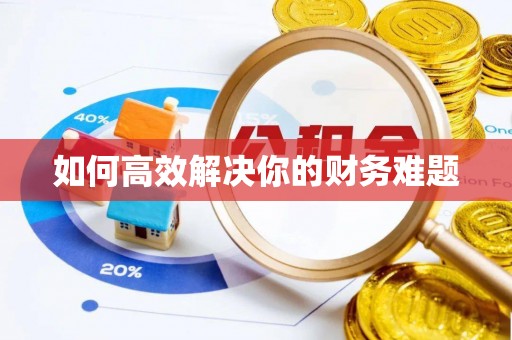 郎溪如何高效解决你的财务难题