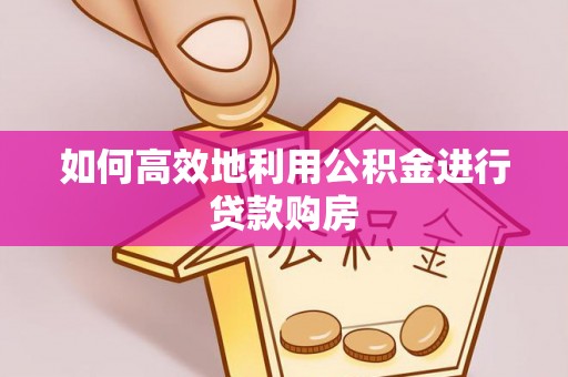 郎溪如何高效地利用公积金进行贷款购房